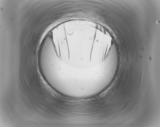 X0000085241514200704092010