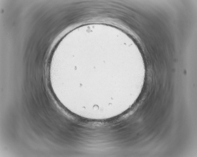 X0000085241517200704092010