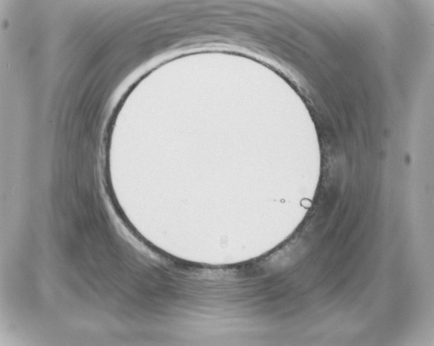 X0000085241518200704092010