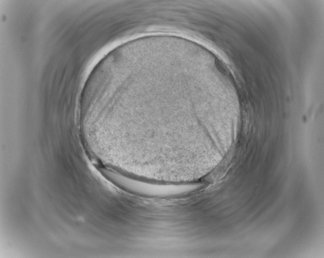 X0000085241527200704092010