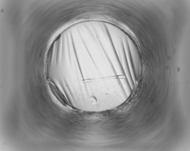 X0000085241528200704092010