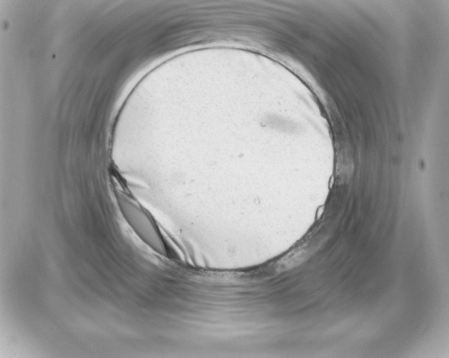 X0000085241532200704092010