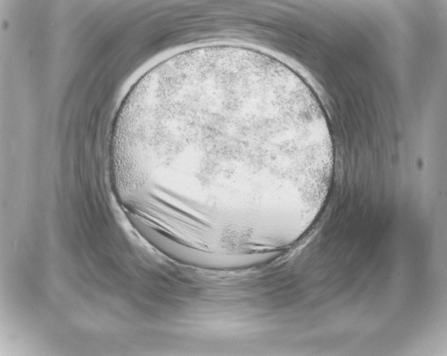 X0000085241534200704092010