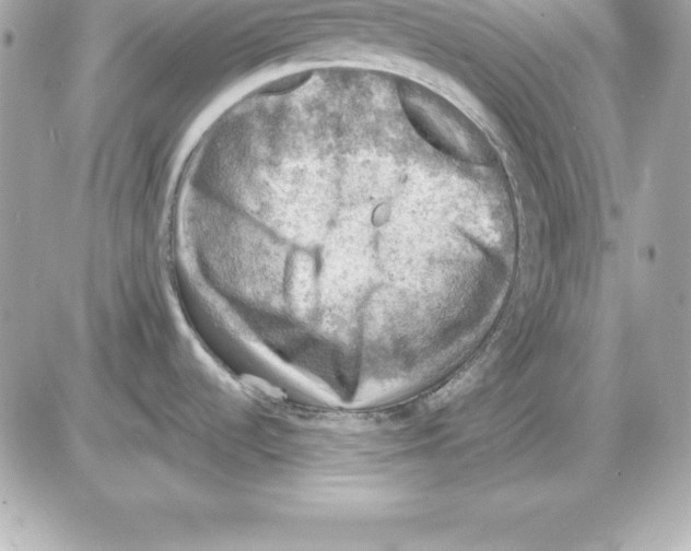X0000085241536200704092010