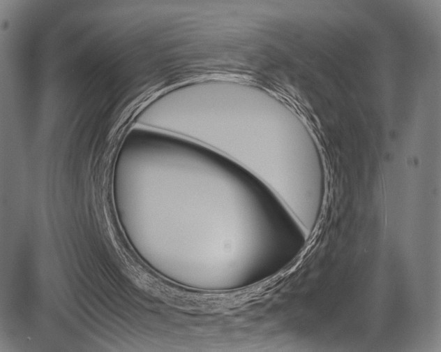 X0000085250001200703090959