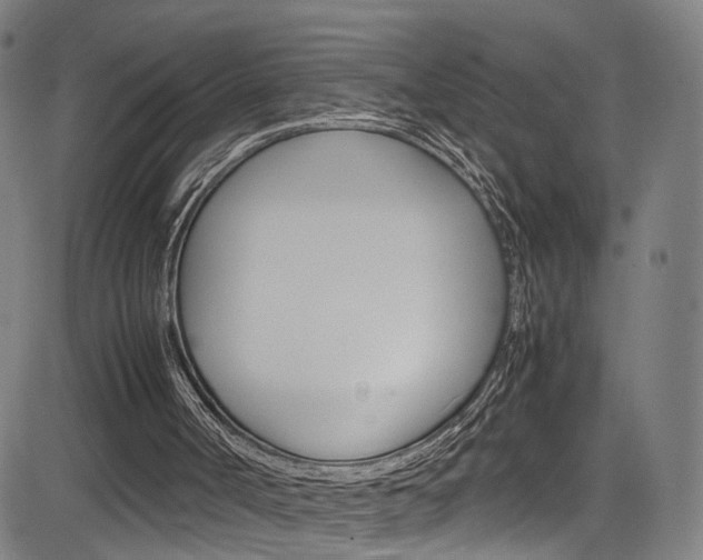 X0000085250002200703090959