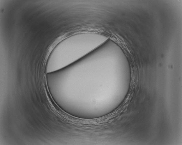 X0000085250003200703090959