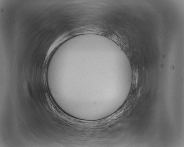 X0000085250004200703090959