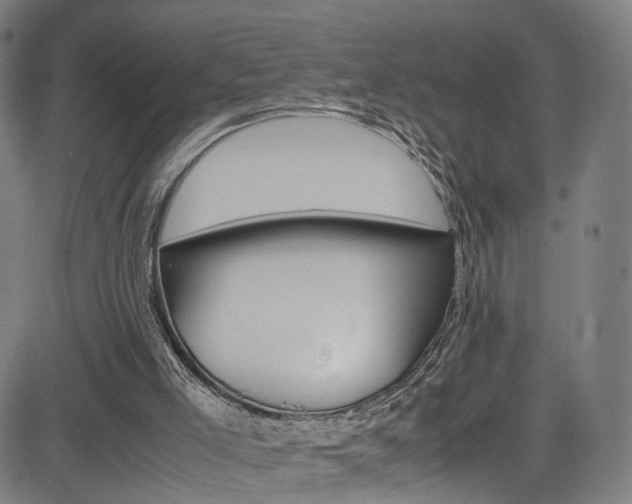 X0000085250005200703090959