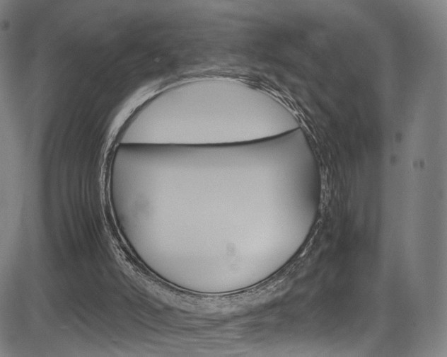 X0000085250006200703090959