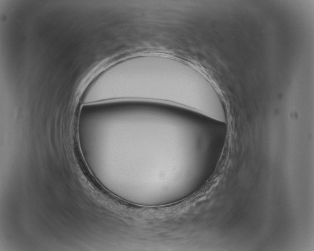 X0000085250007200703090959