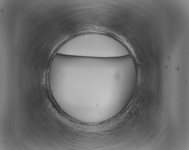 X0000085250010200703090959