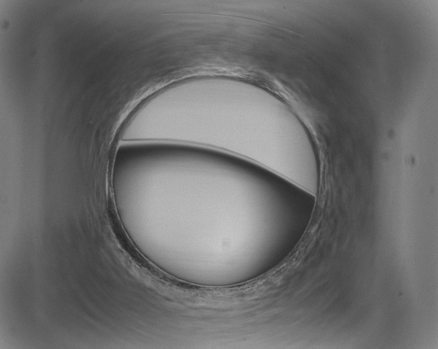 X0000085250011200703090959