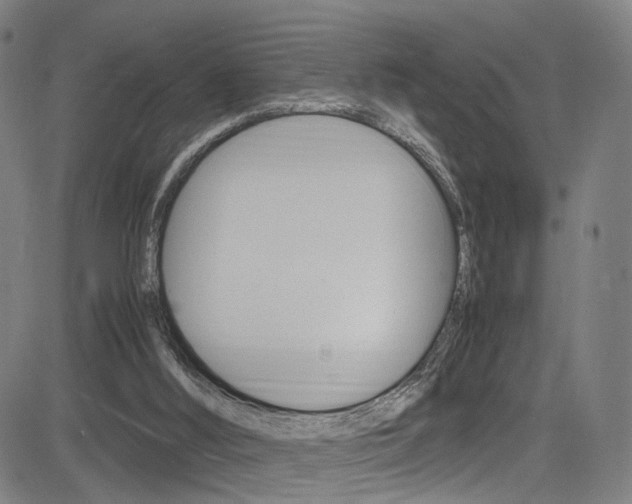 X0000085250012200703090959