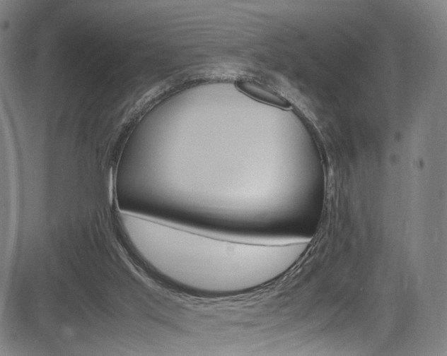 X0000085250013200703090959