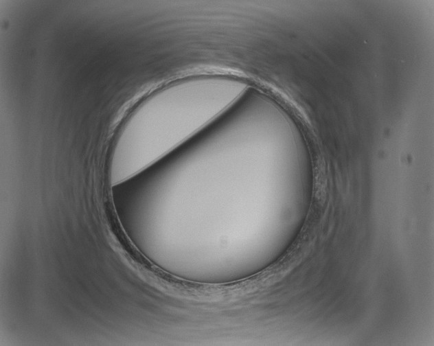 X0000085250015200703090959