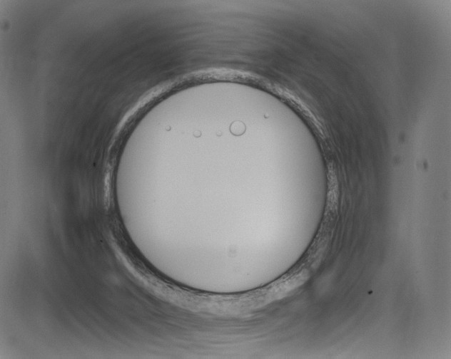 X0000085250016200703090959