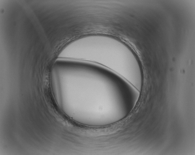 X0000085250017200703090959