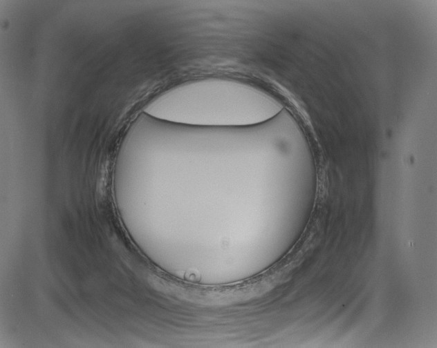 X0000085250018200703090959