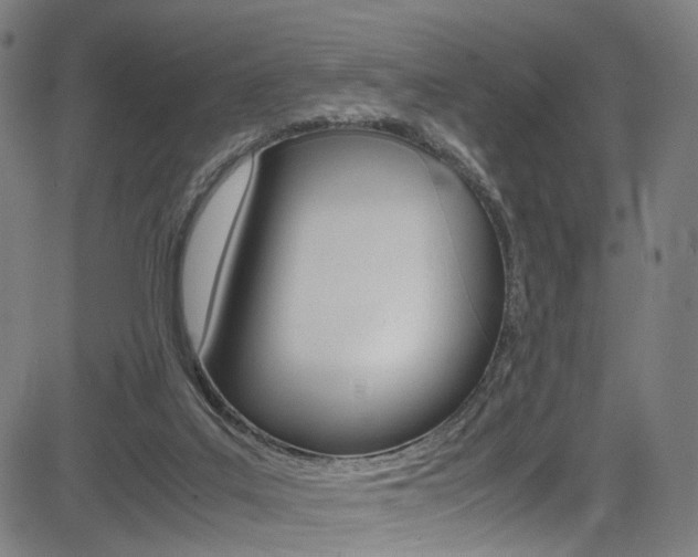 X0000085250019200703090959