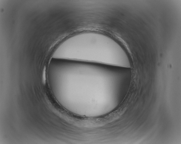 X0000085250020200703090959