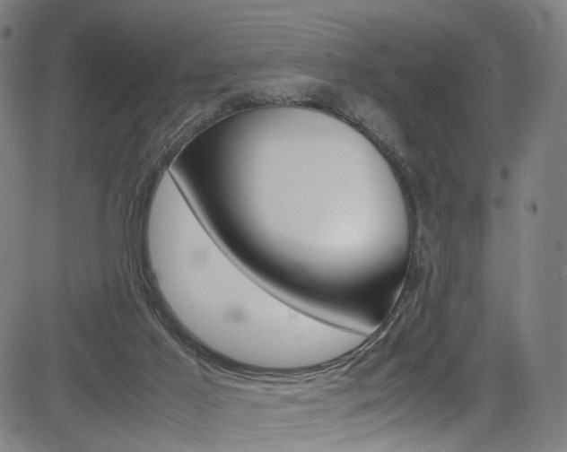 X0000085250021200703090959