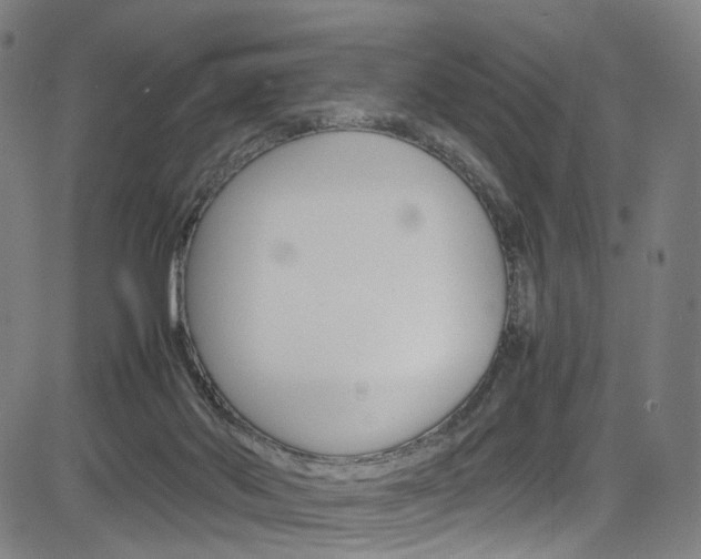 X0000085250022200703090959