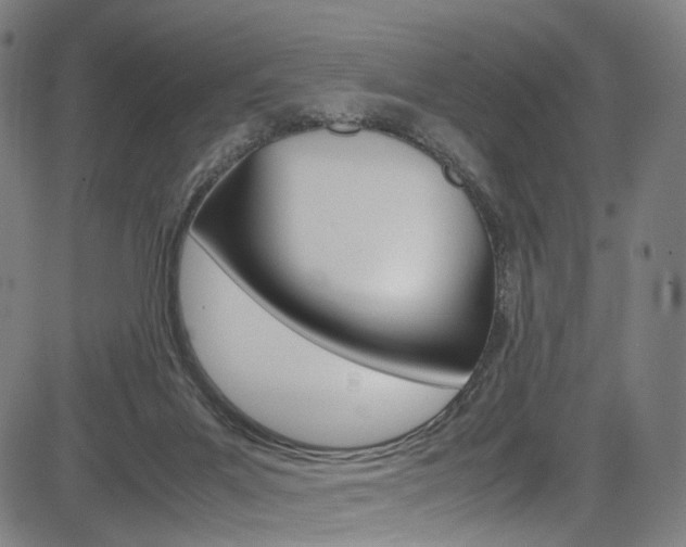 X0000085250023200703090959