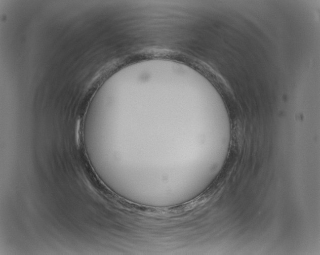 X0000085250024200703090959