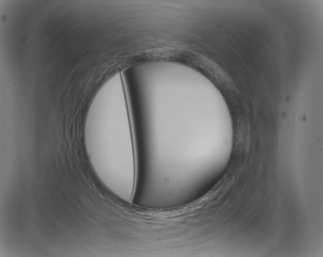 X0000085250025200703090959