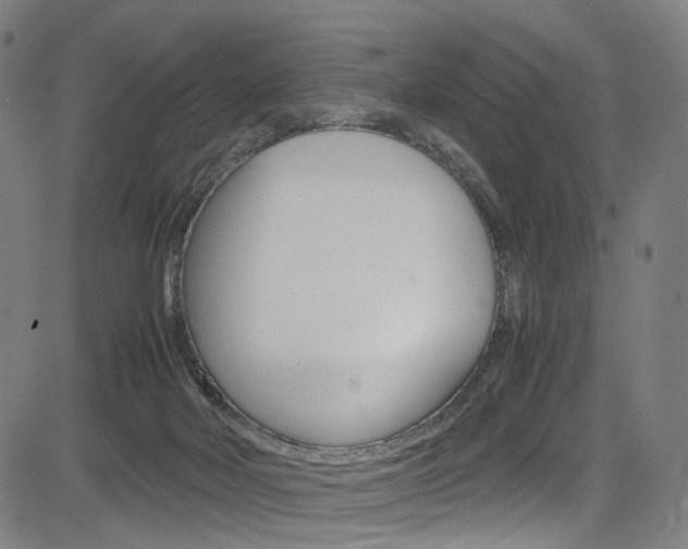 X0000085250026200703090959