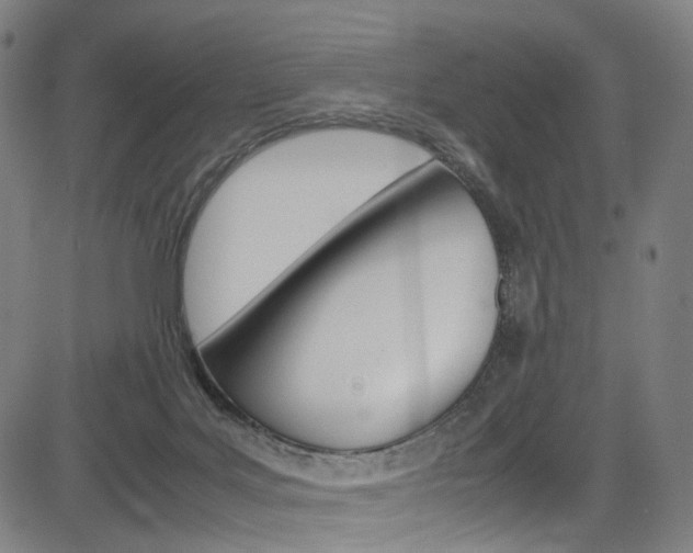 X0000085250027200703090959