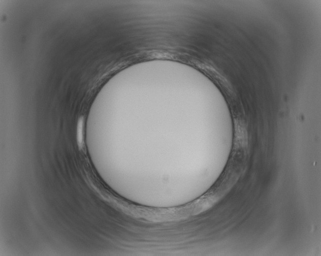 X0000085250028200703090959