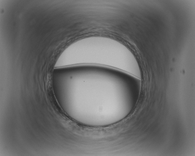 X0000085250029200703090959