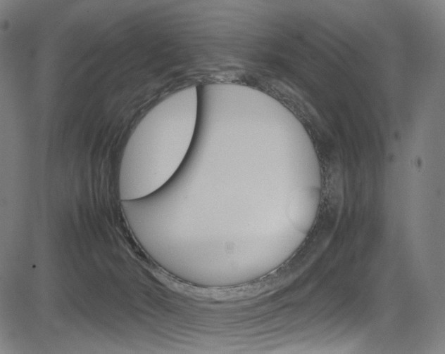 X0000085250030200703090959