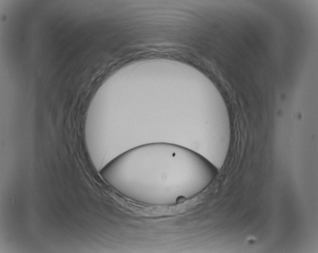 X0000085250031200703090959