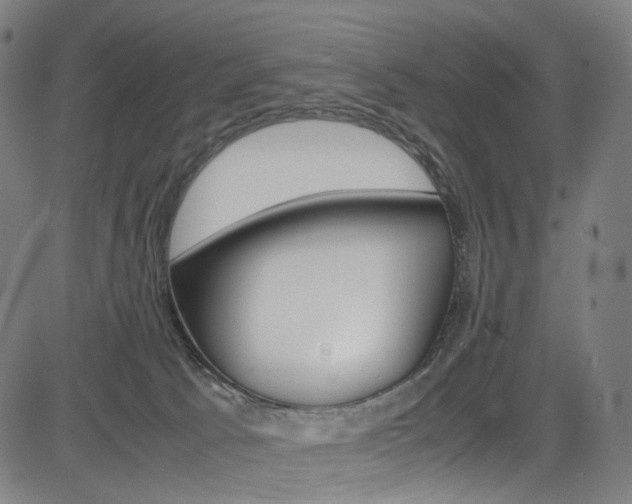 X0000085250033200703090959