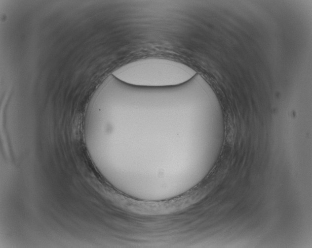 X0000085250034200703090959