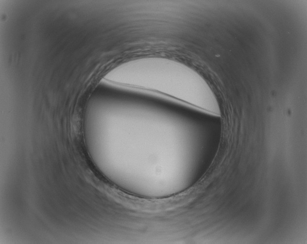 X0000085250035200703090959