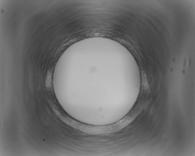 X0000085250036200703090959