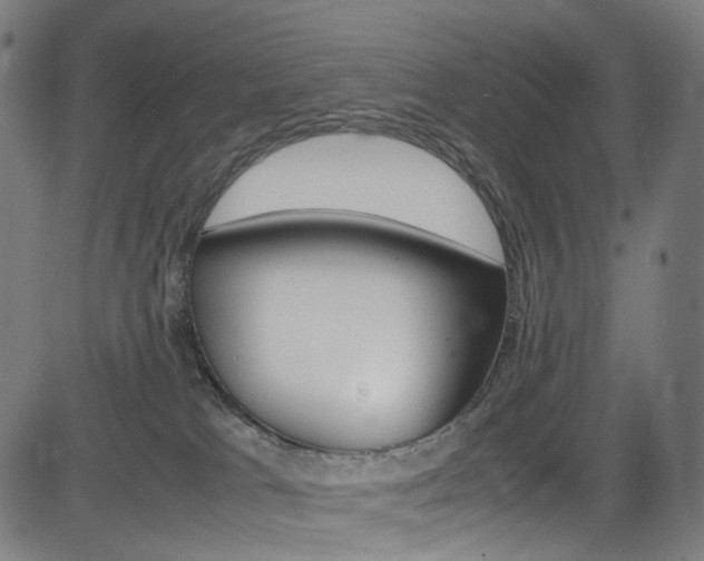 X0000085250037200703090959