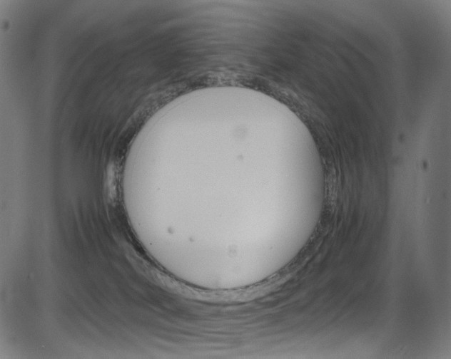 X0000085250038200703090959