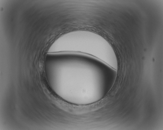 X0000085250039200703090959