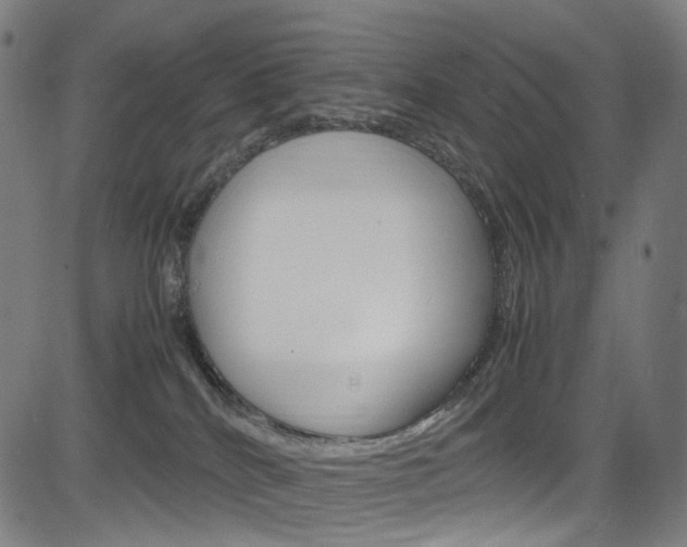 X0000085250040200703090959