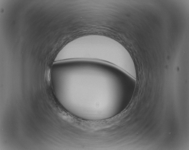 X0000085250041200703090959