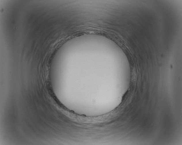 X0000085250043200703090959