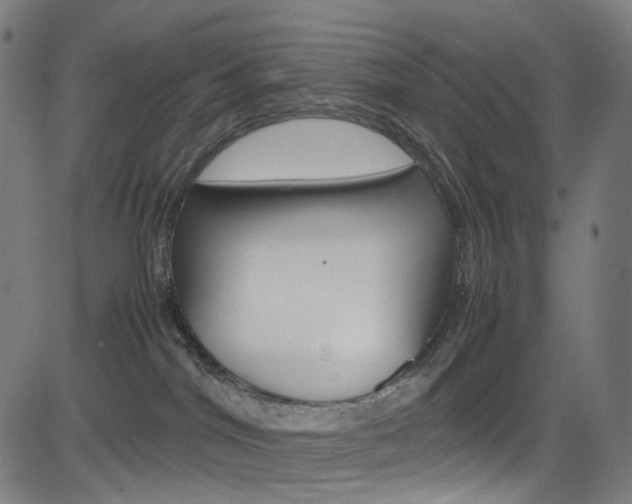 X0000085250044200703090959