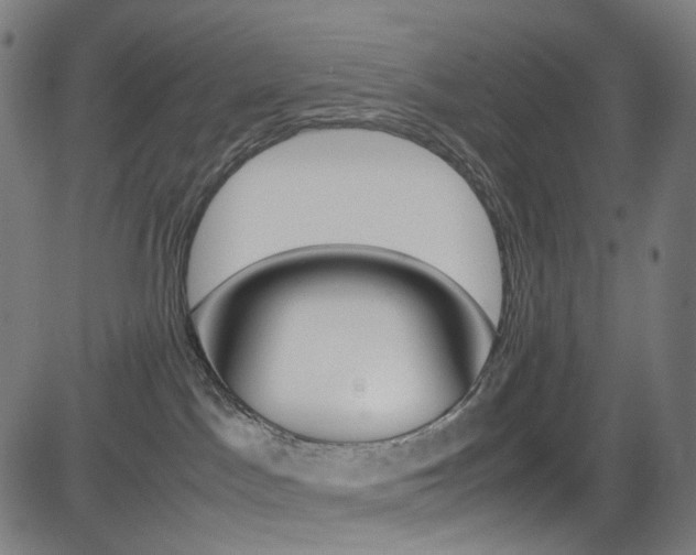 X0000085250045200703090959