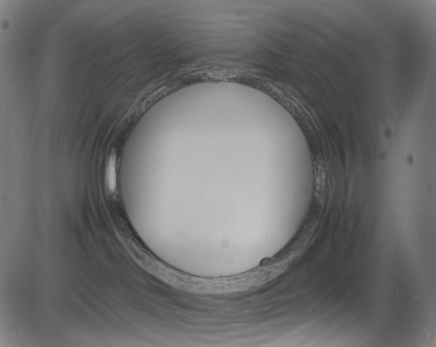 X0000085250046200703090959