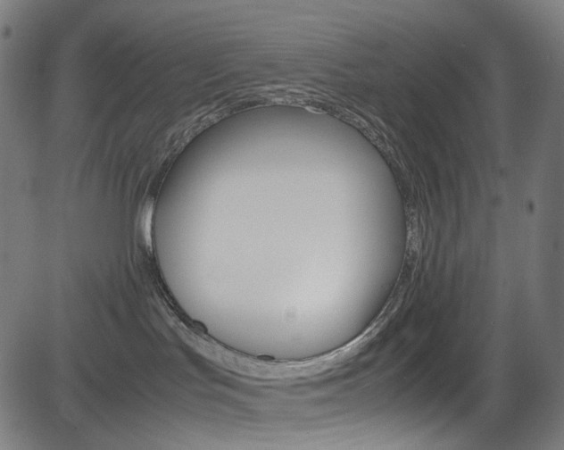 X0000085250047200703090959